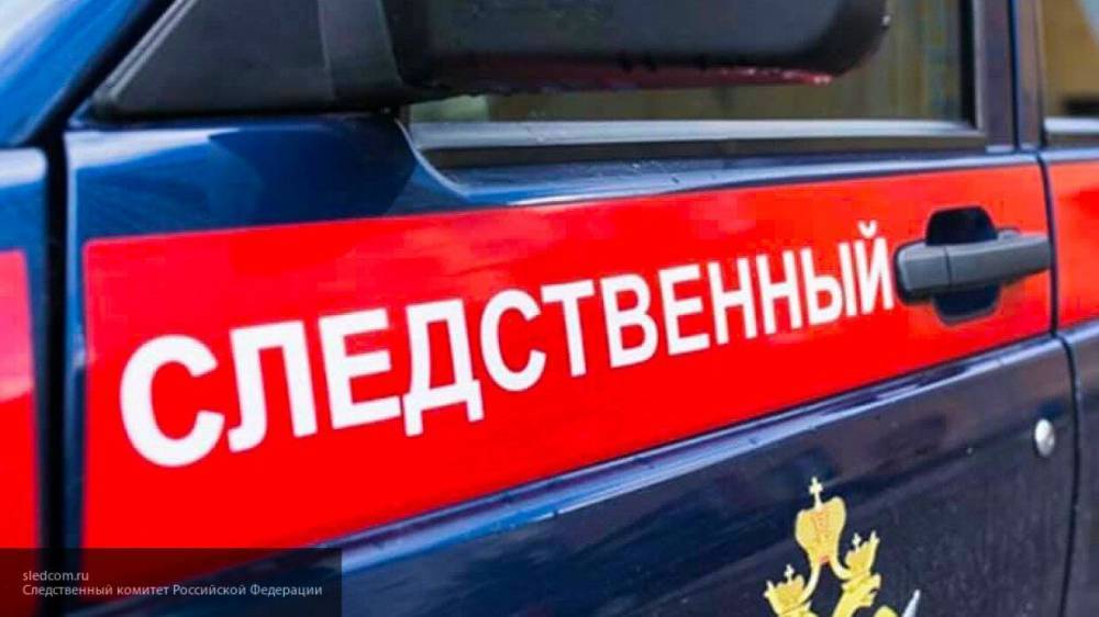 СК возбудил уголовное дело после гибели двух детей при пожаре в Костромской области - nation-news.ru - Костромская обл.