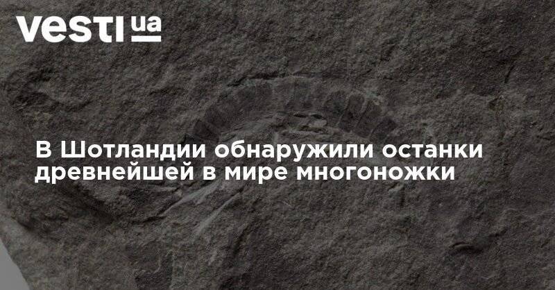 В Шотландии обнаружили останки древнейшей в мире многоножки - vesti.ua - Шотландия