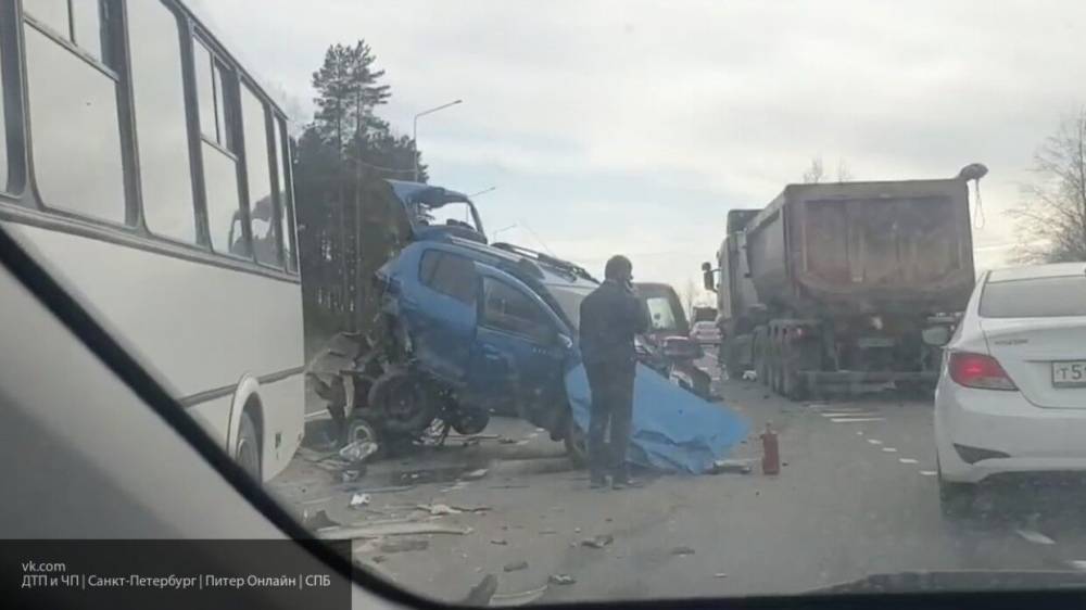 Владислава Грин - Легковушку разорвало на две части в результате ДТП в Пензе - nation-news.ru - Краснодарский край - Пенза