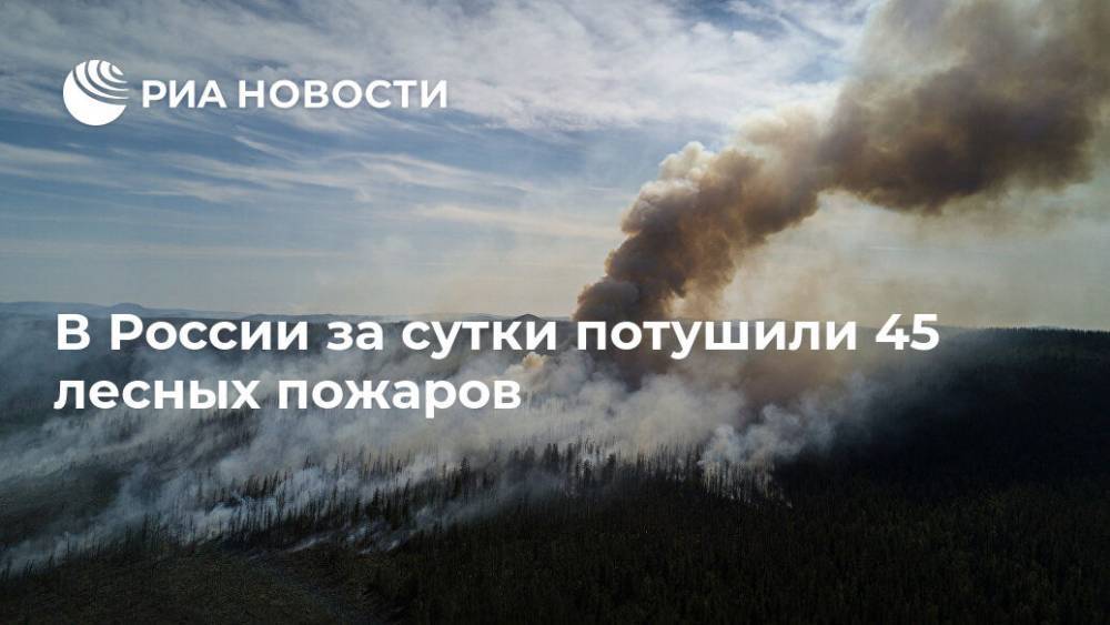 В России за сутки потушили 45 лесных пожаров - ria.ru - Москва - Россия - Иркутская обл. - респ.Бурятия