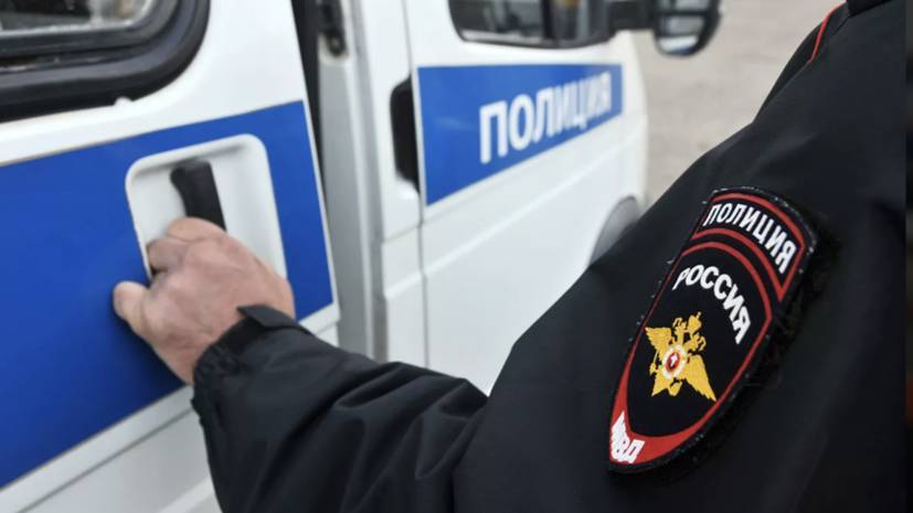 Ирина Волк - В московском метро мужчина угрожал пассажирам оружием - russian.rt.com - Москва - Московская обл.