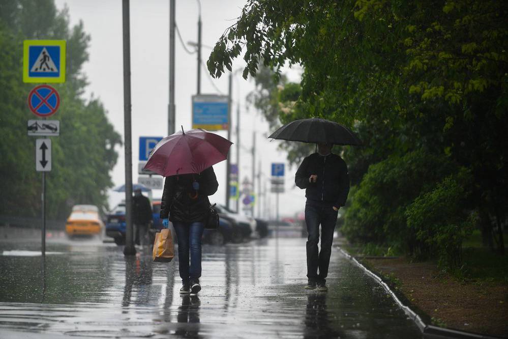 Михаил Леус - Май 2020 года стал самым дождливым за всю историю метеонаблюдений в Москве - vm.ru - Москва