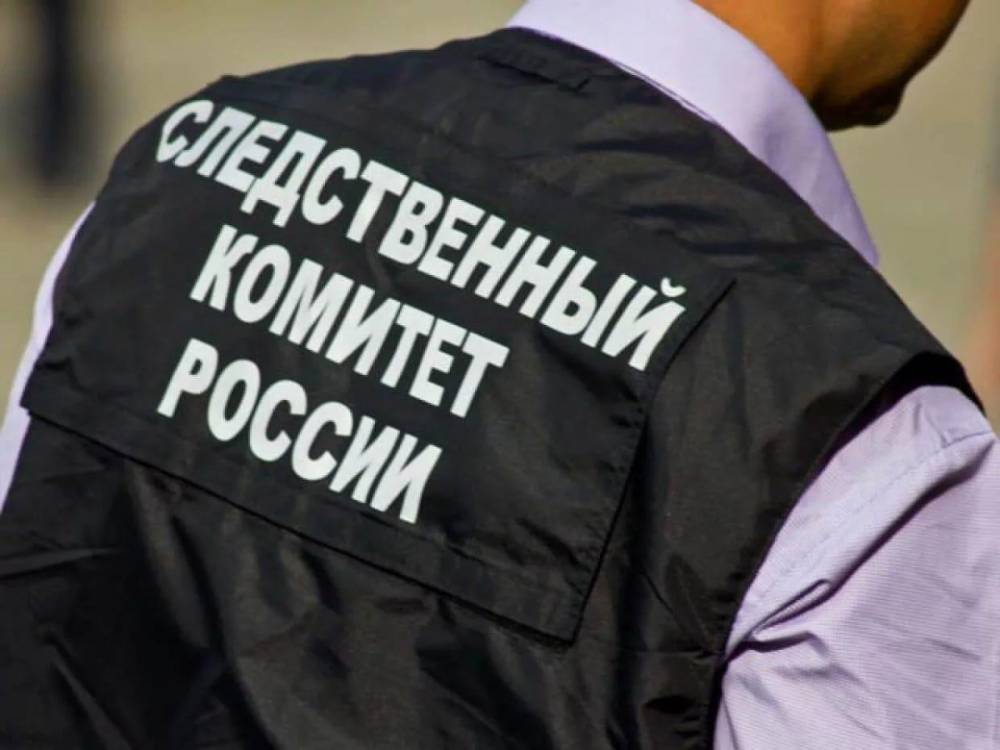 Дмитрий Иванов - Даниил Берман - Участников одиночных пикетов около здания Следственного комитета в Москве задержали - theins.ru - Москва - респ. Кабардино-Балкария