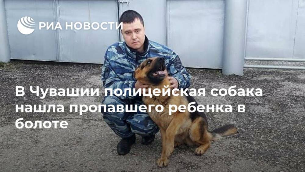 В Чувашии полицейская собака нашла пропавшего ребенка в болоте - ria.ru - Россия - респ. Чувашия - Нижний Новгород