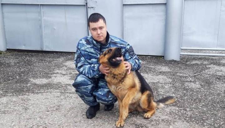Полицейская овчарка нашла мальчика, оказавшего в болоте после похода на кладбище - vesti.ru - респ. Чувашия - район Канашский