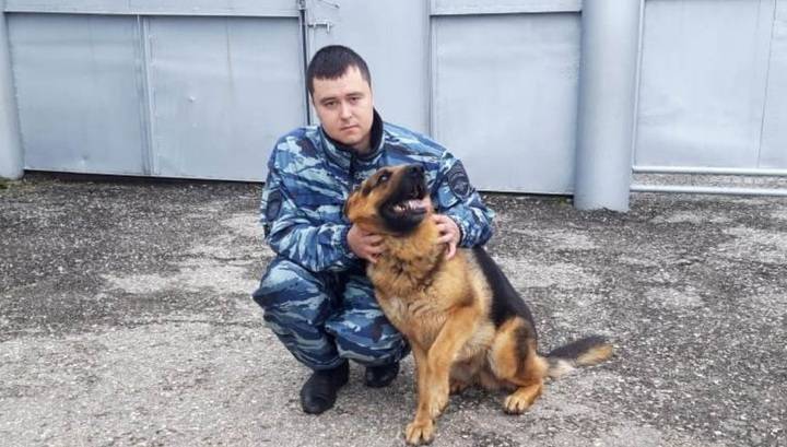 Полицейская овчарка нашла мальчика, оказавшего в болоте после похода на кладбище - vesti.ru - респ. Чувашия