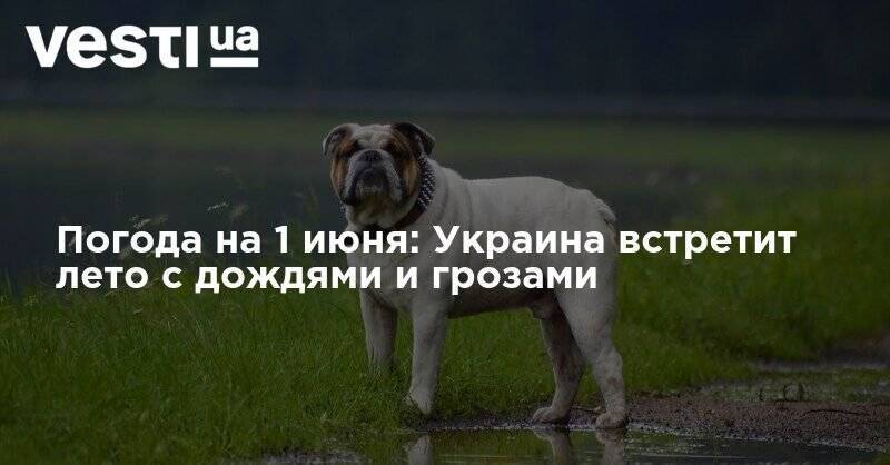 Наталья Диденко - Погода на 1 июня: Украина встретит лето с дождями и грозами - vesti.ua - Украина - Киев