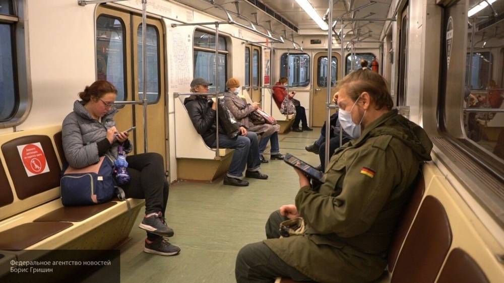 Ирина Волк - Полицейские задержали дебошира с ножом в московском метро - nation-news.ru - Россия - Санкт-Петербург - Московская обл.