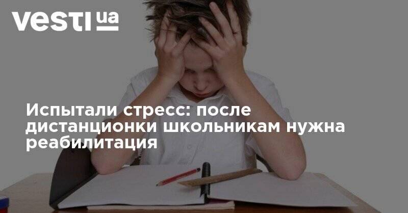 Испытали стресс: после дистанционки школьникам нужна реабилитация - vesti.ua - Украина