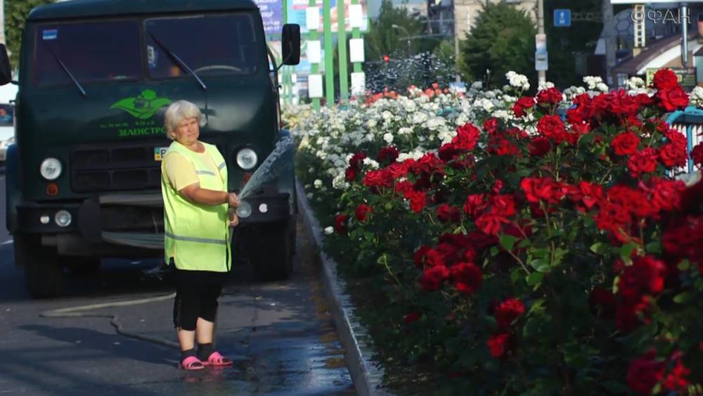 Глава администрации Луганска рассказал, как проходит озеленение города - riafan.ru - ЛНР - Луганск