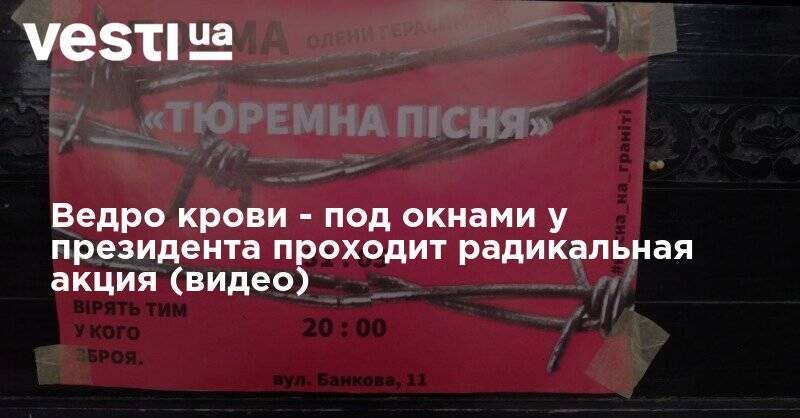 Ведро крови - под окнами у президента проходит радикальная акция (видео) - vesti.ua - Украина
