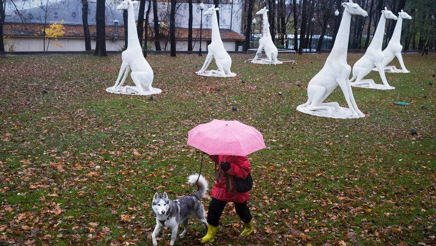 Сергиев Посад - Подтопления в Подмосковье оценили в МЧС - gazeta.ru - Москва - Фоминск - Московская обл. - Красногорск - Клин - Можайск