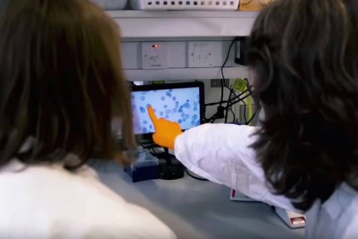 В ОАЭ тестируют новый вид лечения от COVID-19 - mk.ru - Эмираты - Абу-Даби