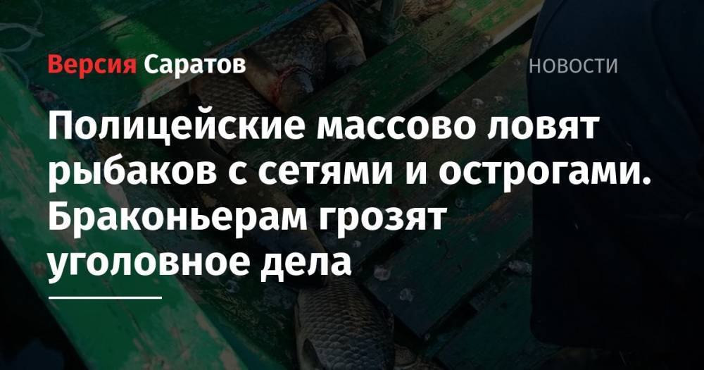 Полицейские массово ловят рыбаков с сетями и острогами. Браконьерам грозят уголовное дела - nversia.ru - Саратовская обл. - район Марксовский