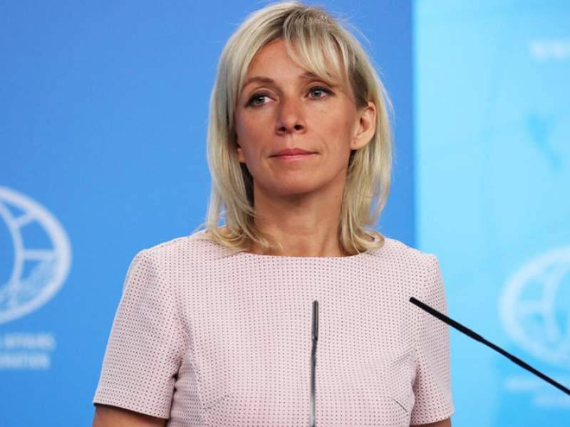 Мария Захарова - Михаил Зыгарь - Марию Захарову, оскорбившую "нищих" россиян, требуют отправить в отставку - dayonline.ru - Россия