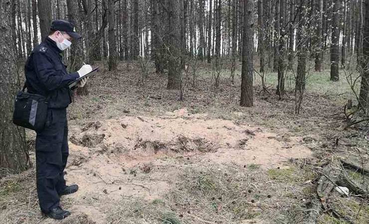 В лесу в Рогачевском районе нашли скелет и вещи. Это оказались останки солдата времен Второй мировой - gomel.today - район Хойникский