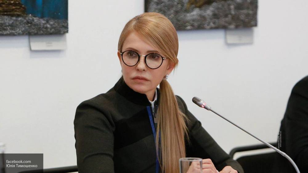 Юлия Тимошенко - Иван Мезюхо - Константин Салаев - НАПК Украины заявило, что Тимошенко стала долларовым миллионером - nation-news.ru - Украина