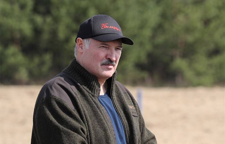 Игорь Додон - Лукашенко оценил ситуацию с коронавирусом в стране как «нормальную» - news.ru - Молдавия - Белоруссия