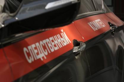 Сотрудник следствия предотвратил разбойное нападение на магазин в Подмосковье - vm.ru - Россия - Московская обл. - Московская область