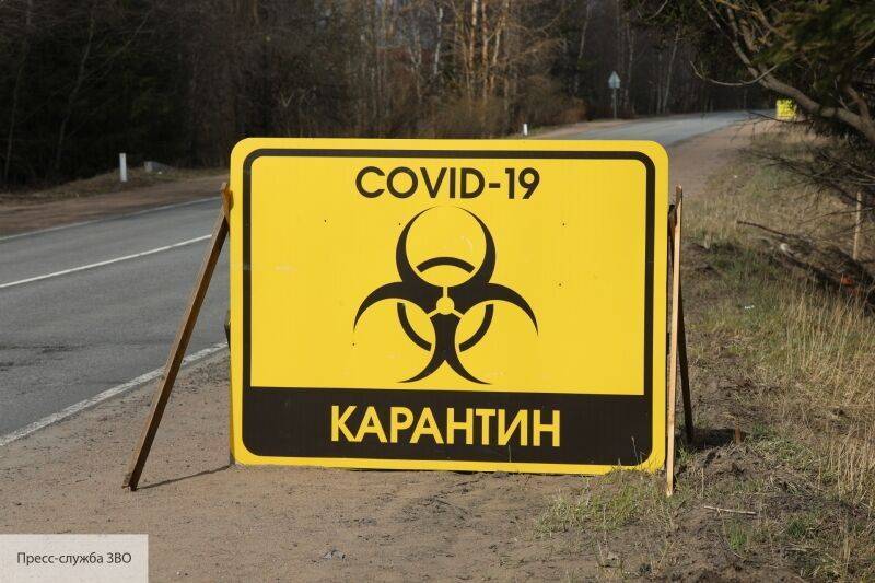 Вассерман объяснил, от чего зависит план России по выходу из карантина - politros.com - Россия - Италия