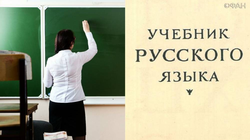 Петр Порошенко - В школе на родине Зеленского сделали русский язык обязательным предметом - riafan.ru - Украина - Киев - Кривой Рог