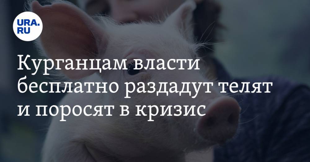 Вадим Шумков - Курганцам власти бесплатно раздадут телят и поросят в кризис - ura.news - Курганская обл.