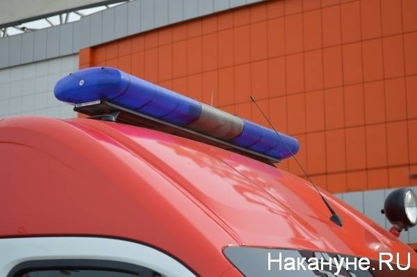 В Свердловской области на пожаре погиб трехлетний мальчик - nakanune.ru - Россия - Свердловская обл.
