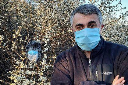 Евгений Комаровский - Врач объяснил опасность антибиотиков для профилактики коронавируса - lenta.ru