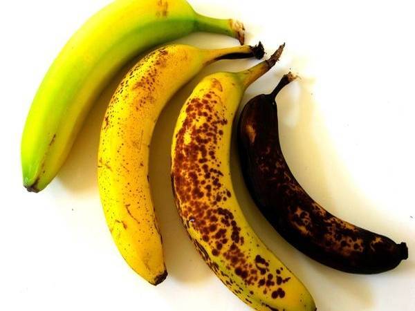 Продукты, хорошо влияющие на качество сна - aze.az