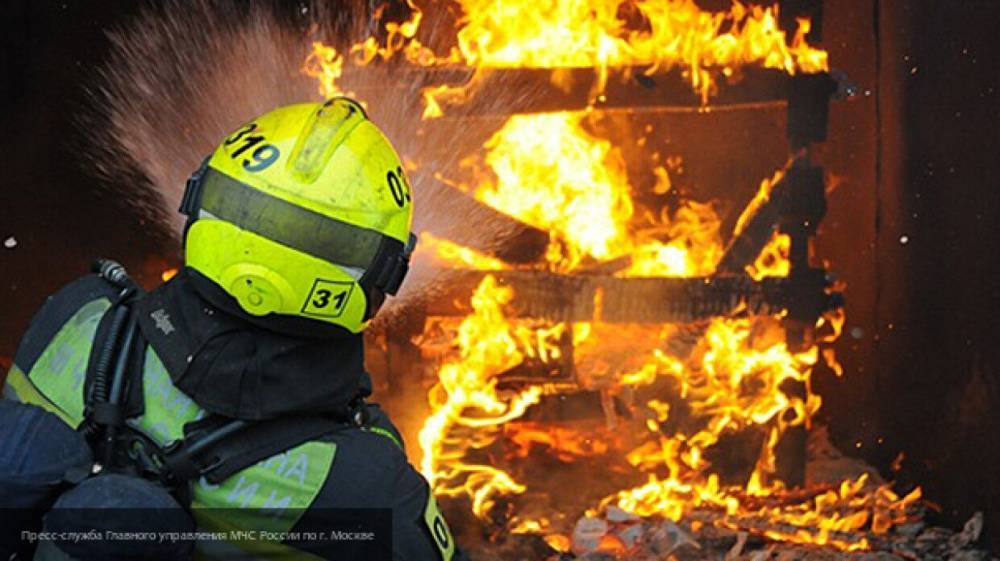 Два жителя Татарстана погибли во время пожара в садовом доме - nation-news.ru - Россия - Московская обл. - респ. Татарстан