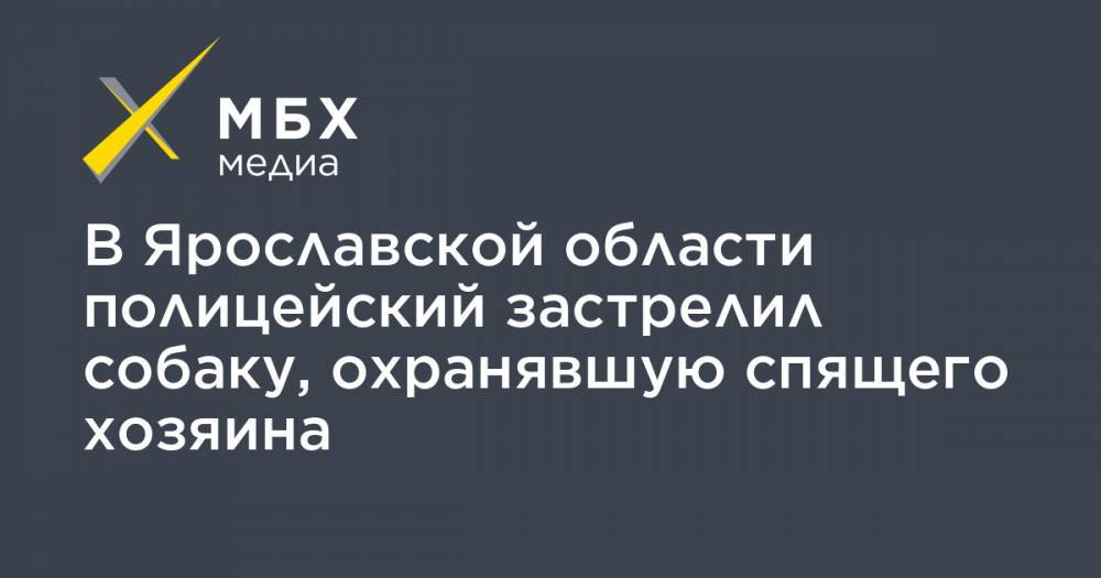 В Ярославской области полицейский застрелил собаку, охранявшую спящего хозяина - mbk.news - Ярославская обл. - Рыбинск