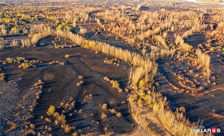 Выжженая земля. Фотограф снял, что стало с поймой Днепра возле Речицы в результате лесных пожаров — шокирующие фото - gomel.today - Белоруссия - Речица