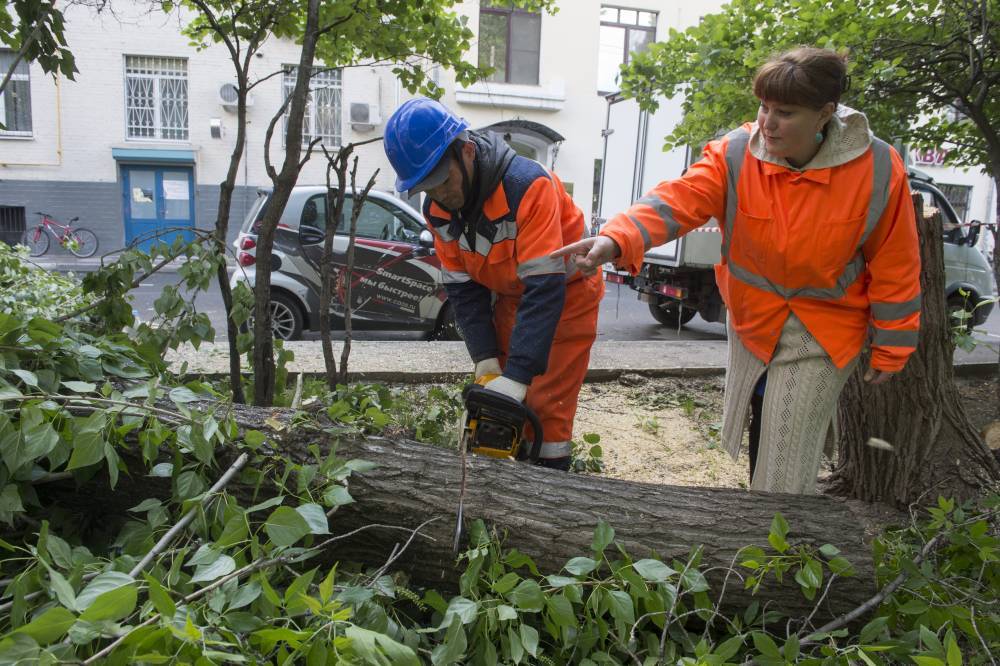Евгений Тишковец - Из-за сильного ветра повалило около 10 деревьев в столице - vm.ru - Москва