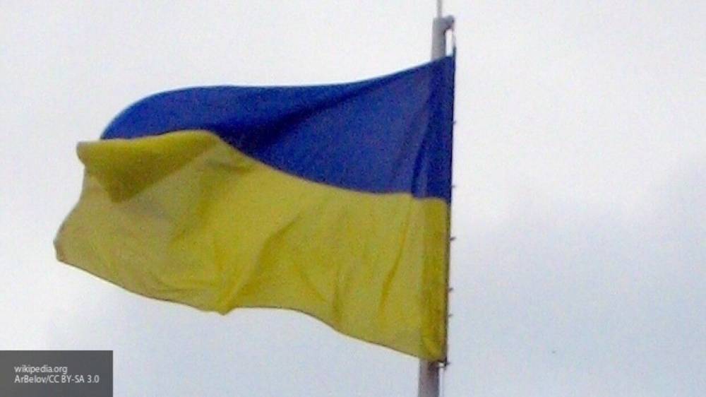 Украинские националисты устроили самосуд над школьницей, снимавшей видео - polit.info - Украина