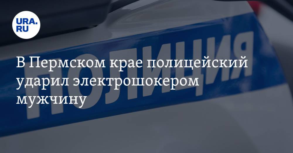 В Пермском крае полицейский ударил электрошокером мужчину. Тот погиб - ura.news - Пермский край
