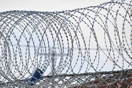 Школы в российском регионе захотели обнести колючей проволокой - lenta.ru - Мурманская обл.