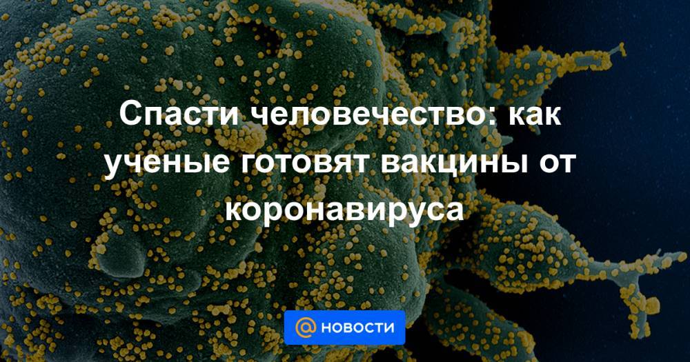 Феликс Ершов - Спасти человечество: как ученые готовят вакцины от коронавируса - news.mail.ru