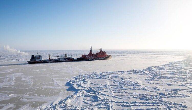 Российский ученый объяснил возникновение озоновой дыры над Арктикой - newtvnews.ru - Россия