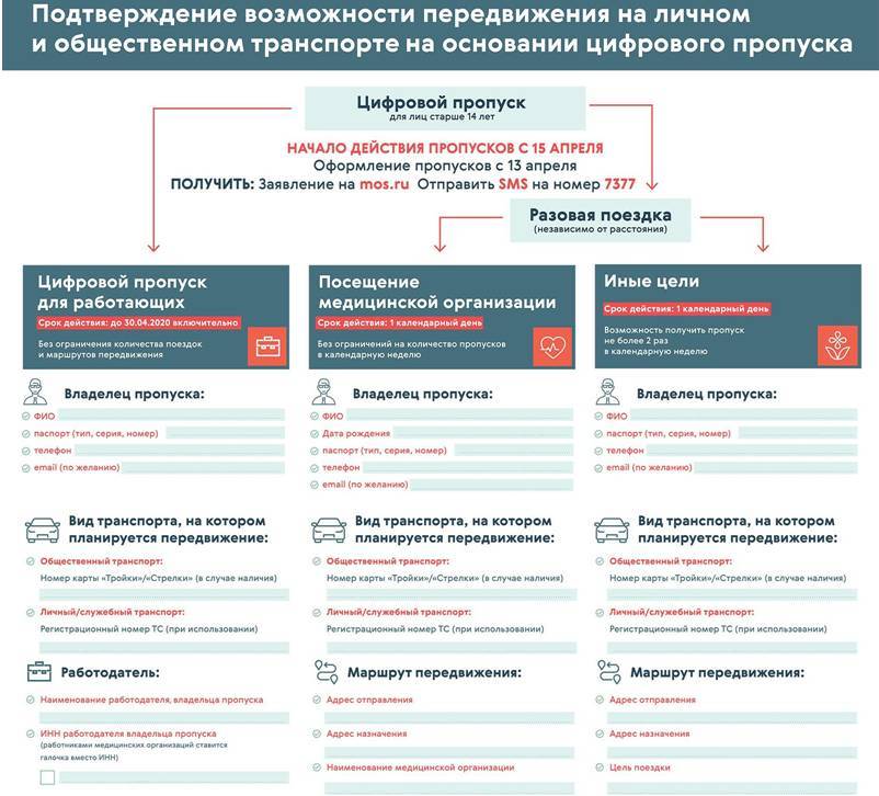 Владимир Путин - Дмитрий Песков - Анна Попова - Когда и во сколько выступает Путин сегодня 06.05.20 — обращение президента к народу состоится на совещании - pravda-tv.ru - Россия