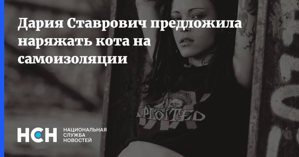 Дария Ставрович предложила наряжать кота на самоизоляции - nsn.fm - Россия