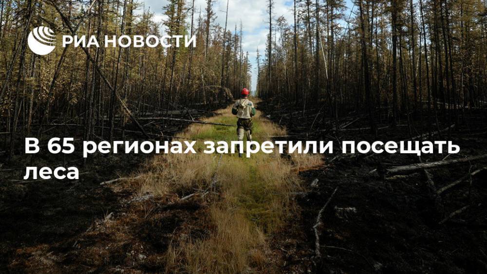 В 65 регионах запретили посещать леса - ria.ru - Москва - Россия - Красноярский край - респ.Бурятия - Новосибирская обл. - Омская обл. - Забайкальский край