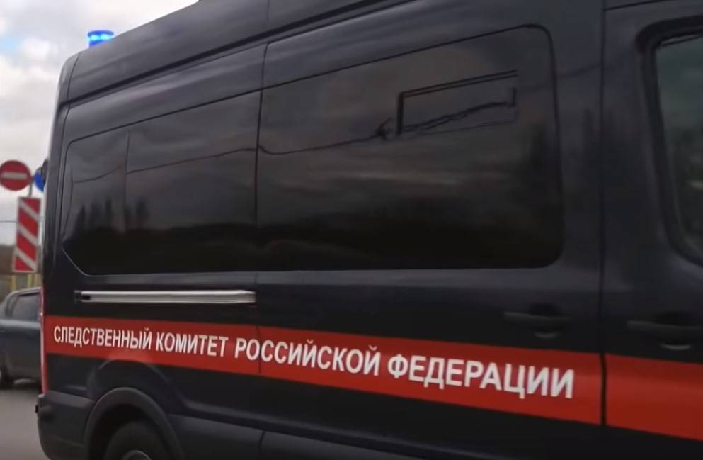 СК начал проверку после падения пятилетней девочки из окна в Подольске - vm.ru - Россия - Московская обл. - Подольск