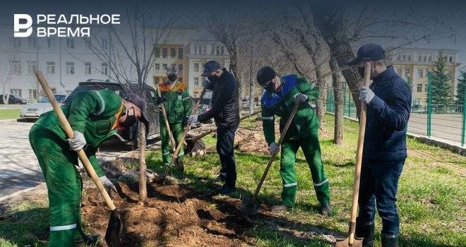 «Казаньоргсинтез» высадит более 900 деревьев - realnoevremya.ru - респ. Татарстан - Казань