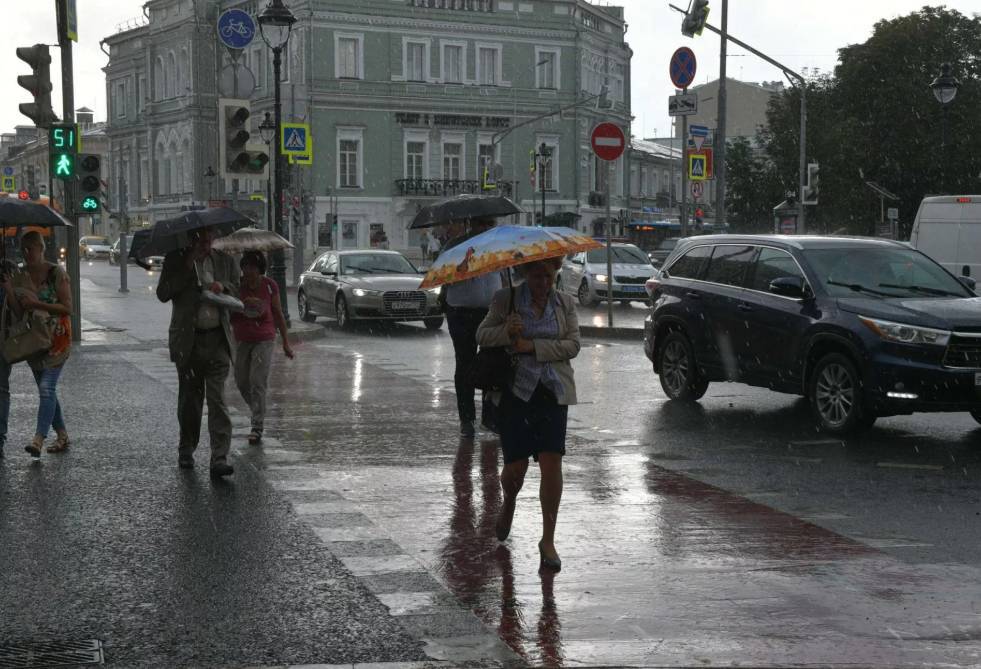 В Москве объявлено штормовое предупреждение - smi24.news - Москва - Московская обл.