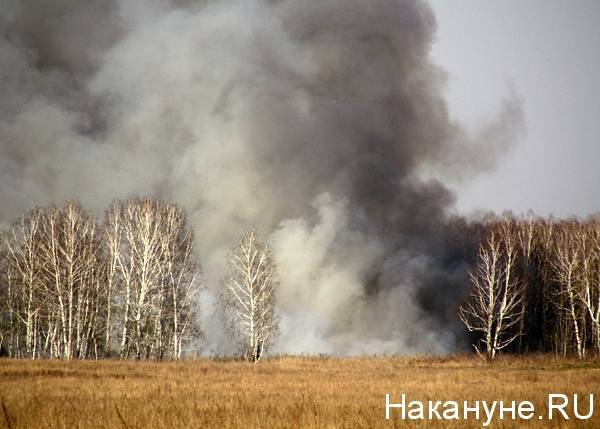 В Тюменской области пожарами уничтожено 400 гектаров леса - nakanune.ru - Тюменская обл.