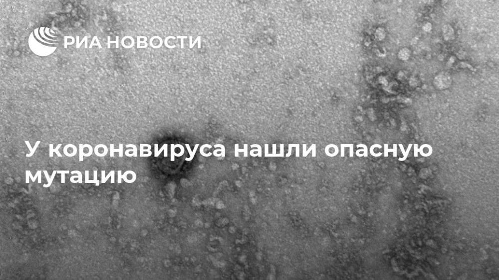 У коронавируса нашли опасную мутацию - ria.ru - Москва - Германия