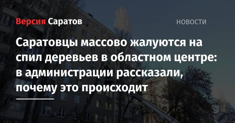 Илья Варламов - Саратовцы массово жалуются на спил деревьев в областном центре: в администрации рассказали, почему это происходит - nversia.ru - Саратова