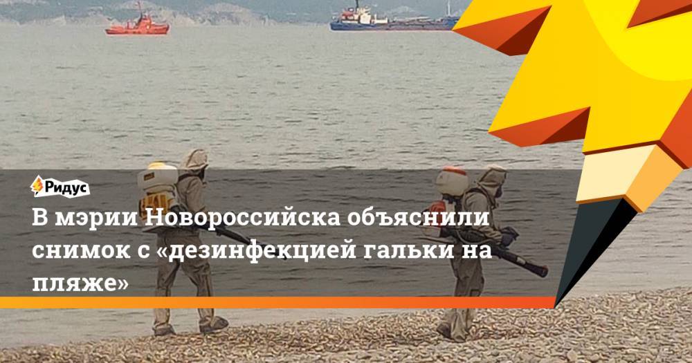 Виталий Зверев - Вмэрии Новороссийска объяснили снимок с«дезинфекцией гальки напляже» - ridus.ru - Россия - Новороссийск