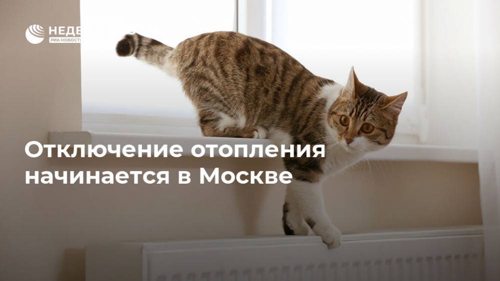 Петр Бирюков - Отключение отопления начинается в Москве - realty.ria.ru - Москва
