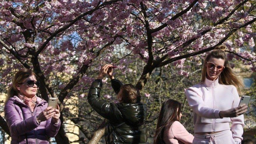 Петербург антирекорд по индексу самоизоляции, рухнув до двух баллов - 5-tv.ru - Петербурга